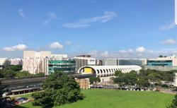 Blk 247 Tampines Street 21 (Tampines), HDB 4 Rooms #223263351